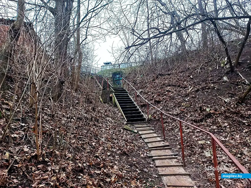 22.01.2025. Могилев, Левая Дубровенка.