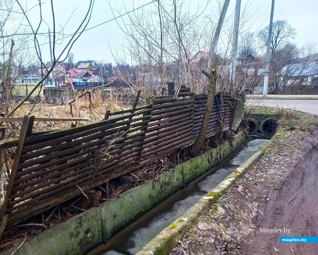 22.01.2025. Могилев, Левая Дубровенка.