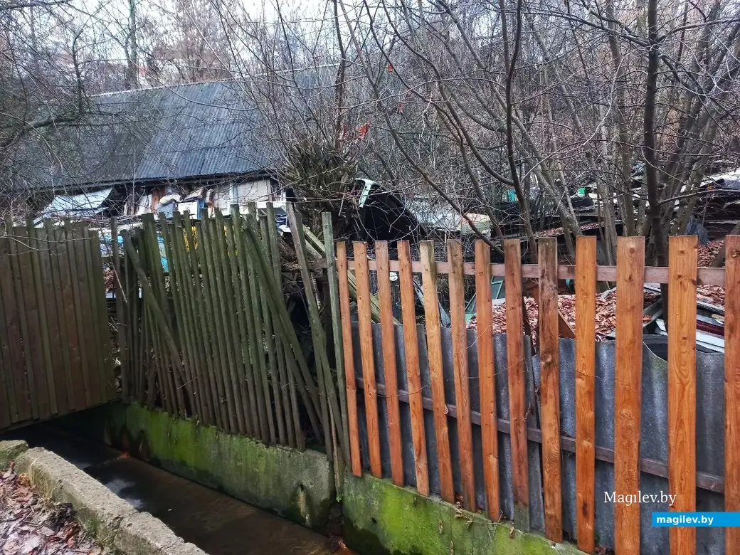 22.01.2025. Могилев, Левая Дубровенка.