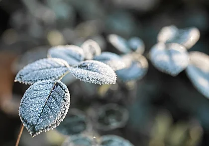 Без осадков, днем до +4°С: синоптики о погоде в Могилеве и области