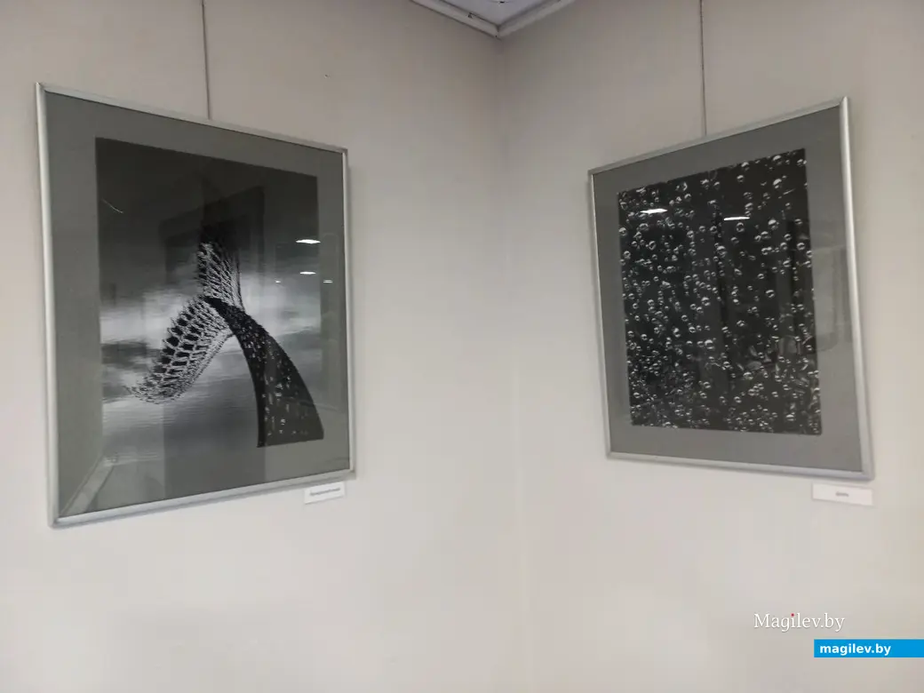 24.01.2025, Могилев, музей В. К. Бялыницкого-Бирули. Открытие выставки Анатолия Кухарчука «Крик птицы».