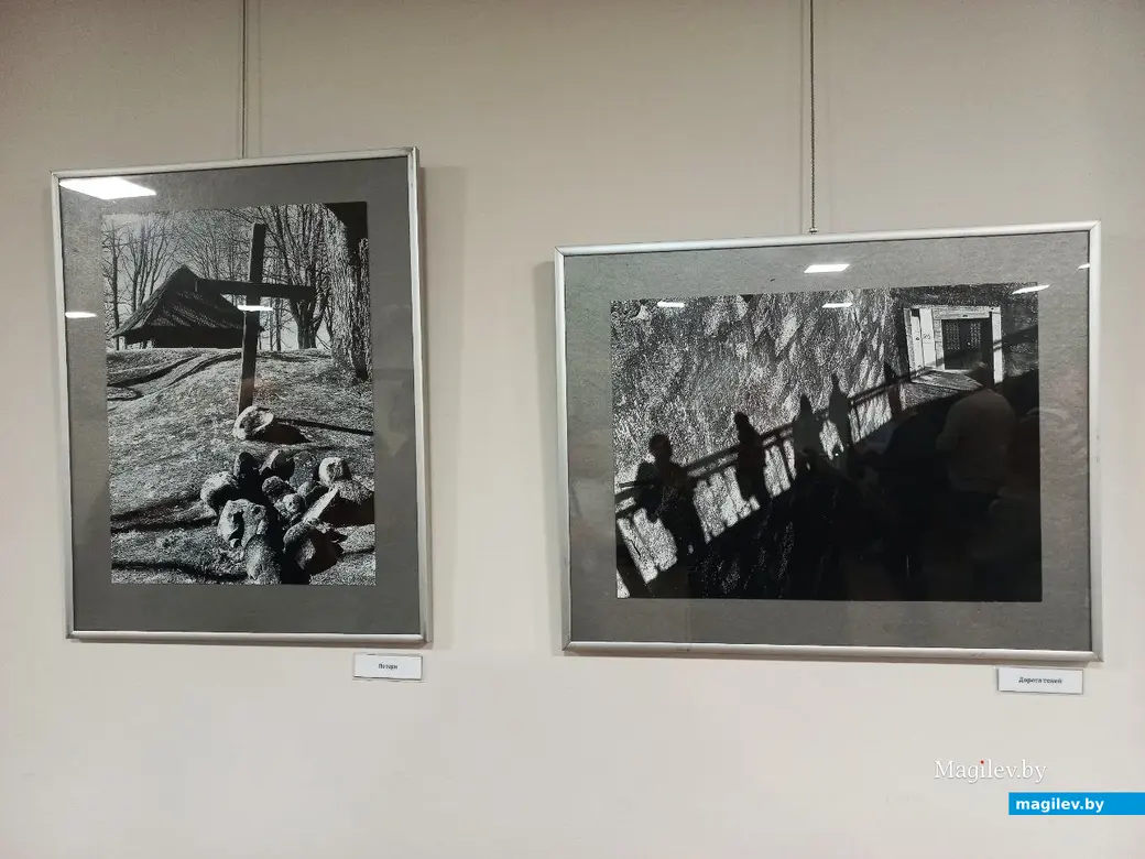 24.01.2025, Могилев, музей В. К. Бялыницкого-Бирули. Открытие выставки Анатолия Кухарчука «Крик птицы».