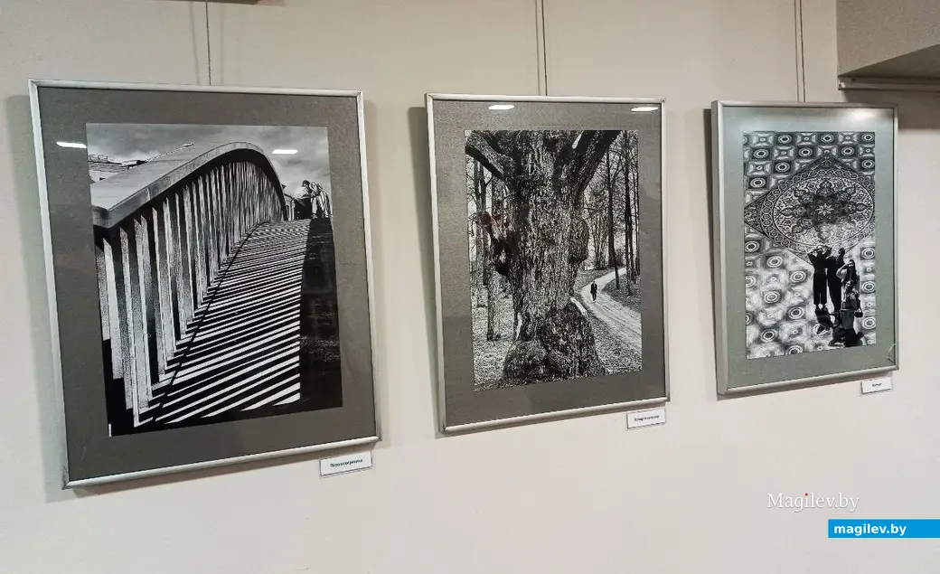 24.01.2025, Могилев, музей В. К. Бялыницкого-Бирули. Открытие выставки Анатолия Кухарчука «Крик птицы».