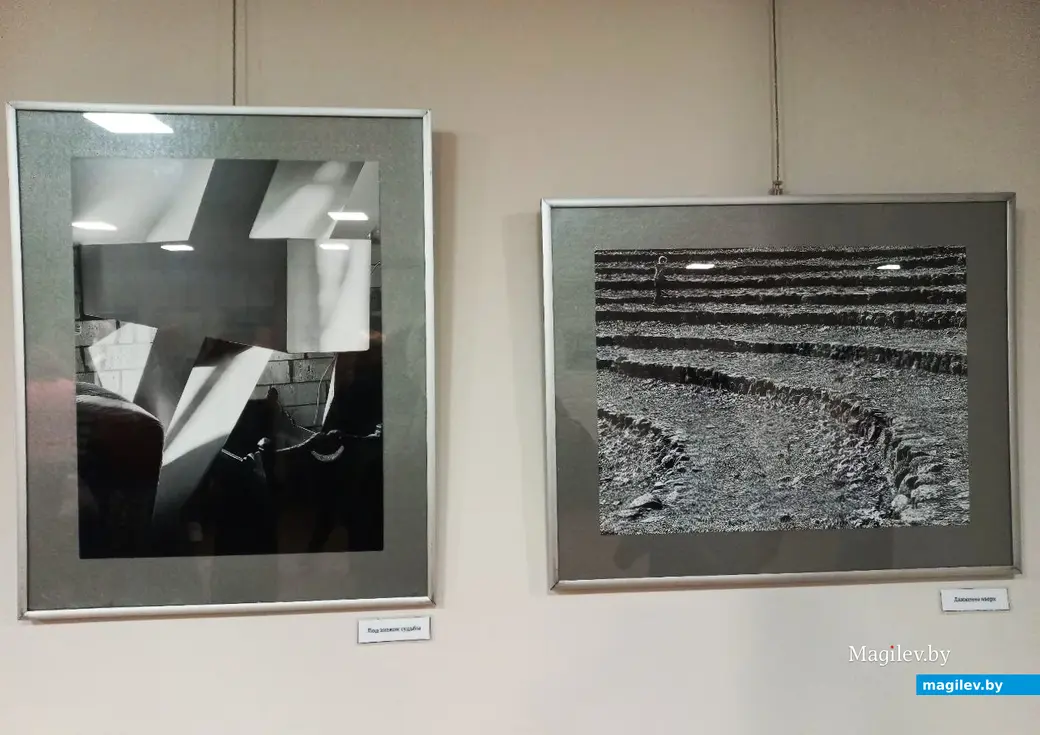 24.01.2025, Могилев, музей В. К. Бялыницкого-Бирули. Открытие выставки Анатолия Кухарчука «Крик птицы».