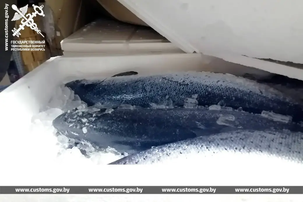 Фото: ТГ Таможенные органы Беларуси