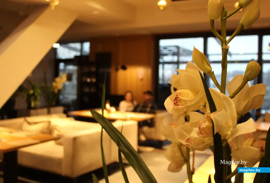 Январь 2025 года. Могилев. Гастробар «Цоколь».