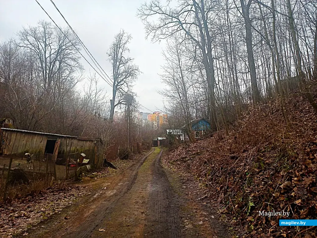 29.01.2025, Могилев, переулок улицы Вербовой .