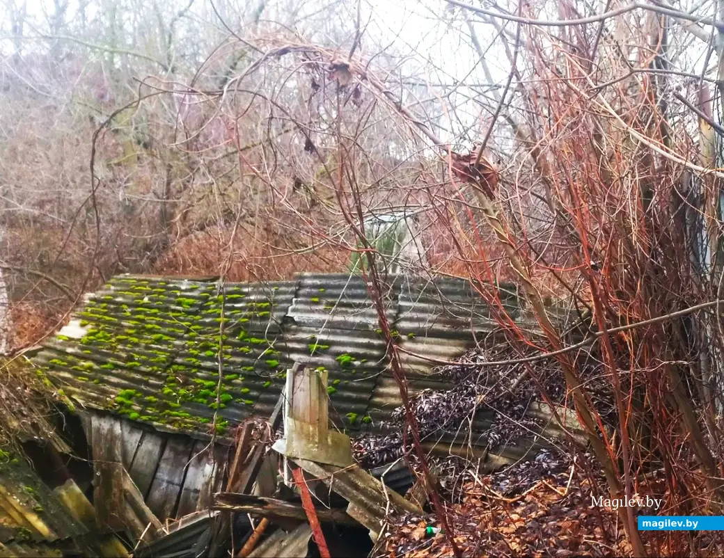 29.01.2025, Могилев, переулок улицы Вербовой .