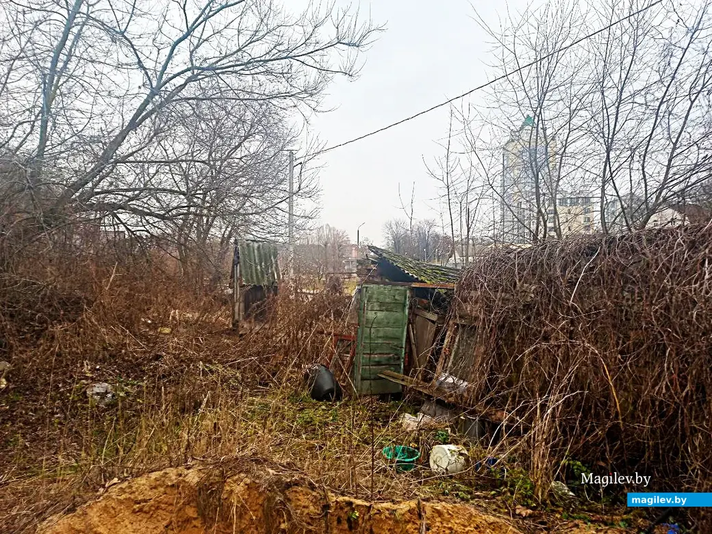 29.01.2025, Могилев, переулок улицы Вербовой .