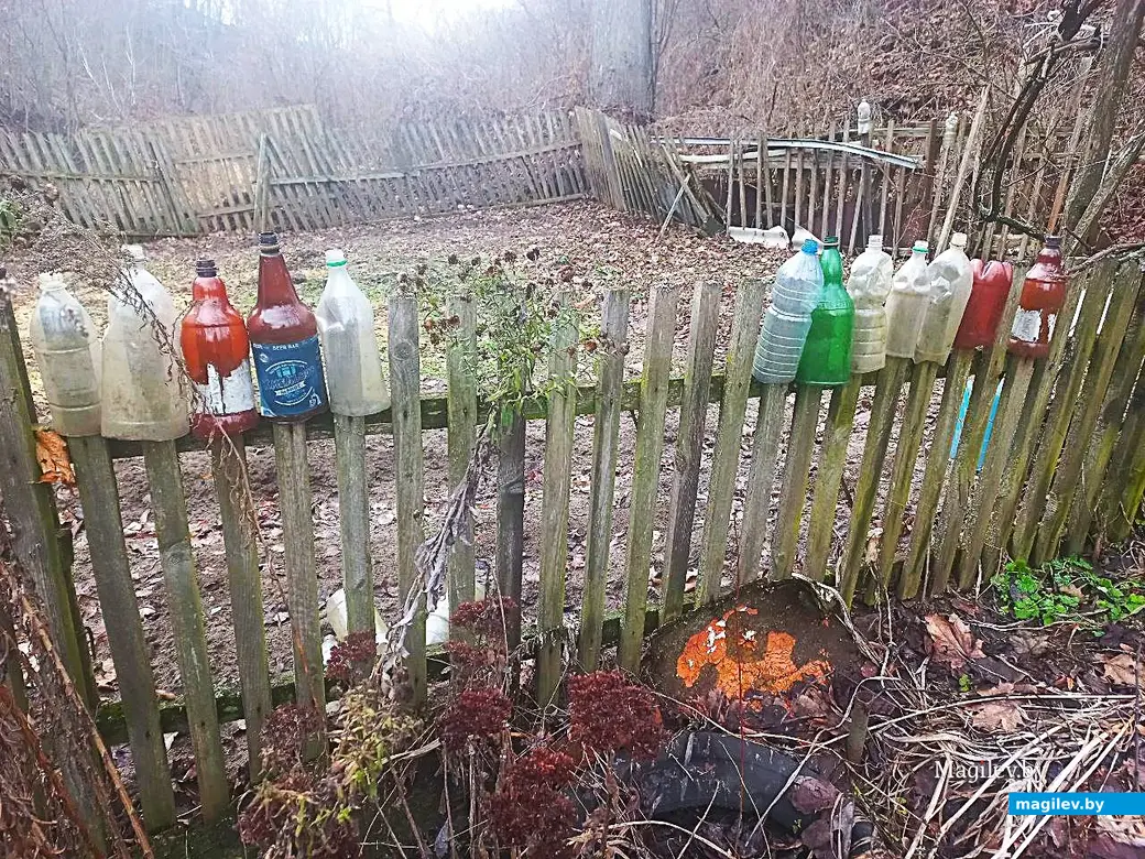 29.01.2025, Могилев, переулок улицы Вербовой .