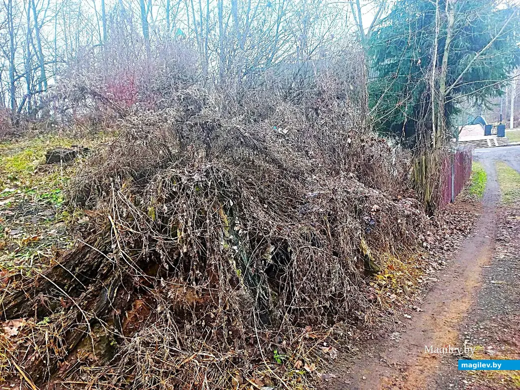 29.01.2025, Могилев, переулок улицы Вербовой .
