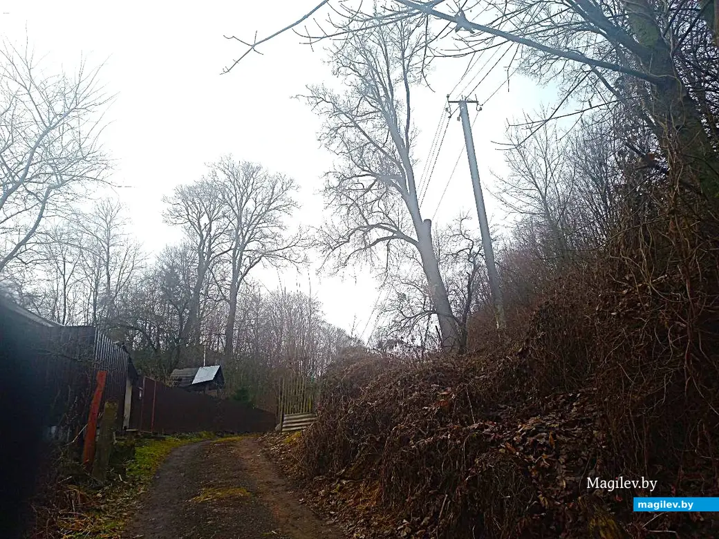 29.01.2025, Могилев, переулок улицы Вербовой .