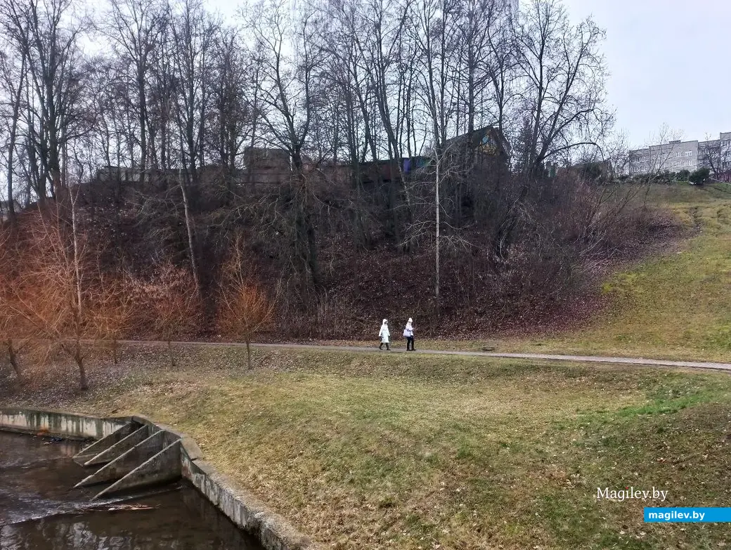 29.01.2025, Могилев, на выходе из переулка улицы Вербовой в сторону Русалки.