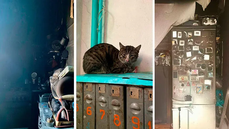 Черкесск. Коты устроили пожар в квартире. Фото МЧС России.
