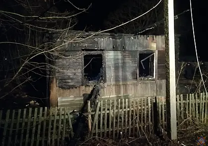 Два человека погибли на пожаре в Белыничском районе (видео)