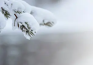 Мокрый снег и легкий морозец: какой будет погода сегодня в Могилеве