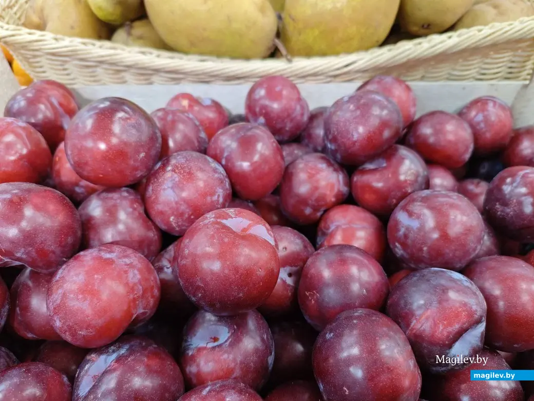 4 февраля 2025 года. Могилев. Магазин «Квартал» по улице Островского.