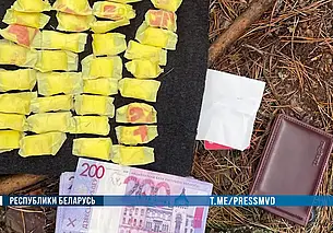 Наркокурьер-иностранец задержан в Бобруйске: изъято около 1 кг опасного психотропа