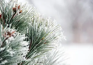 Белгидромет: морозы в Беларуси будут усиливаться