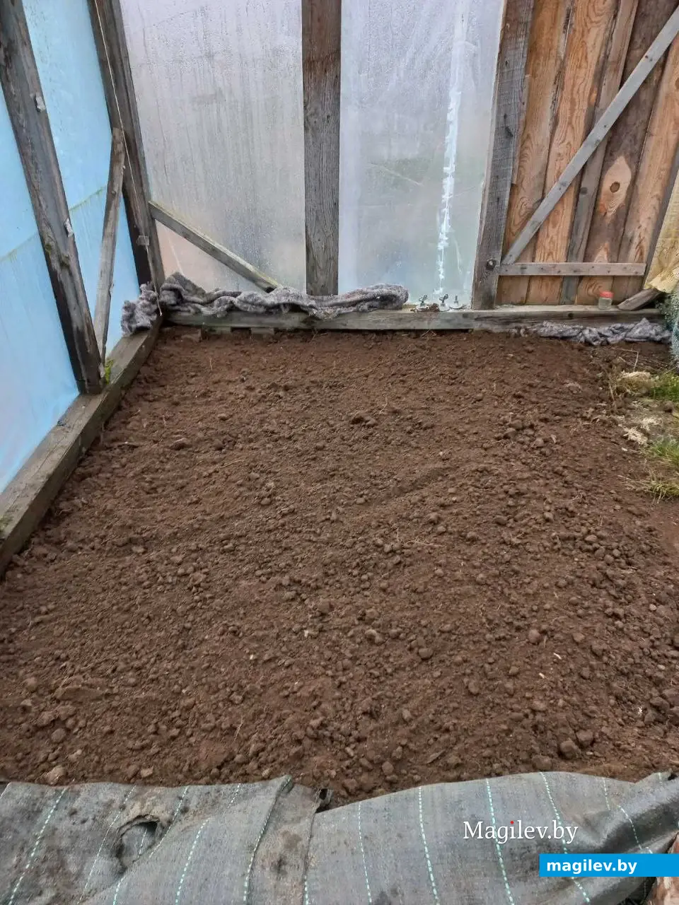 Январь 2024 года. Могилевский район. Посев семян тыквы.