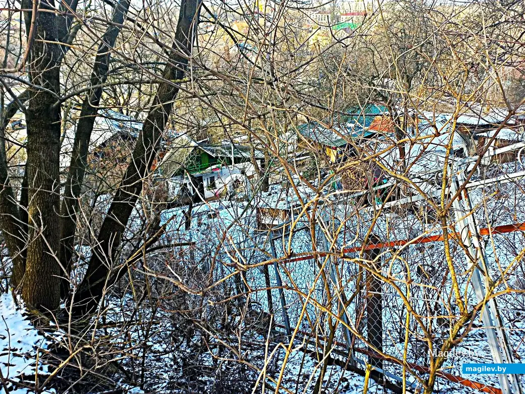 Февраль 2025 года, Могилев. Вдоль обрыва…