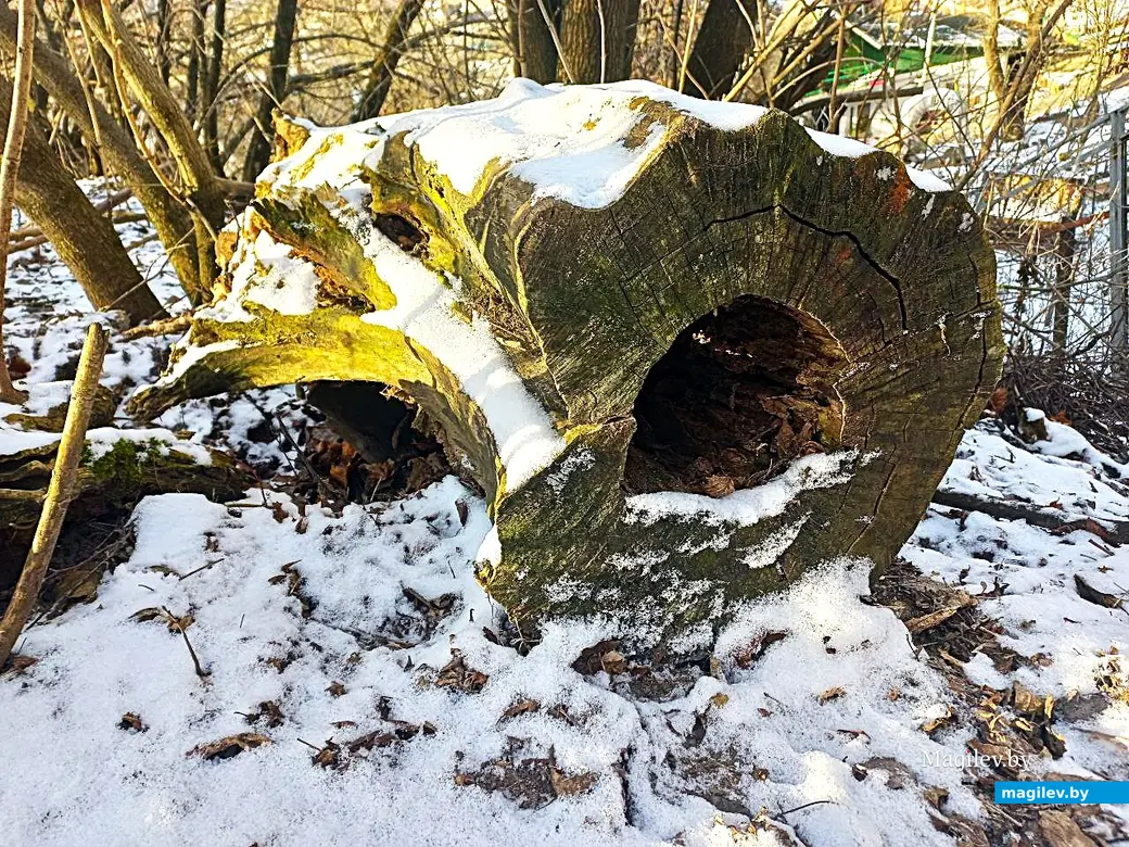 Февраль 2025 года, Могилев. Вдоль обрыва…