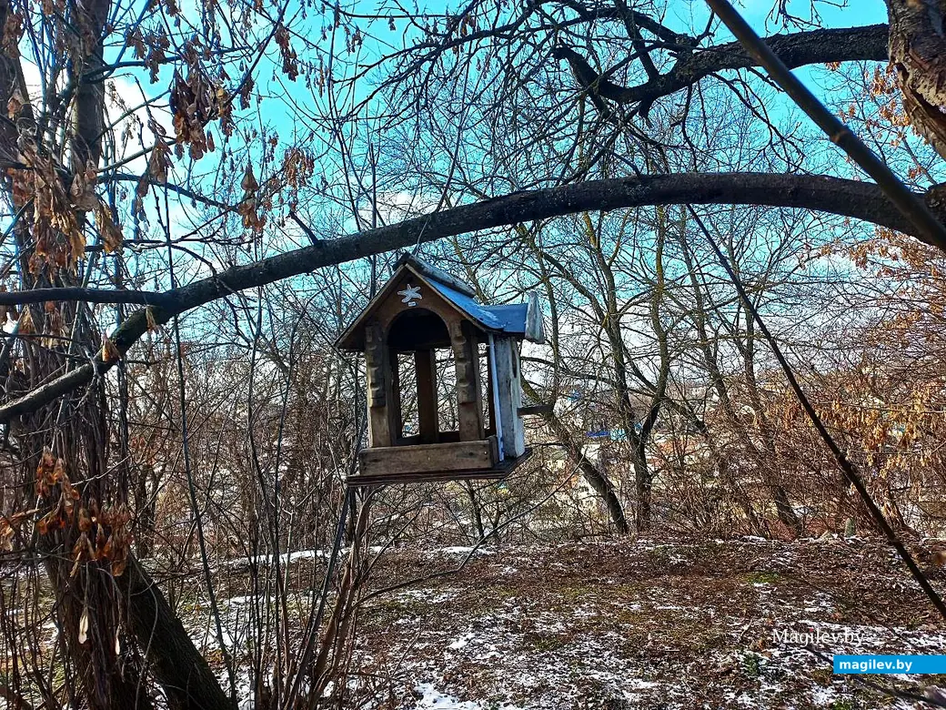 Февраль 2025 года, Могилев. Вдоль обрыва…