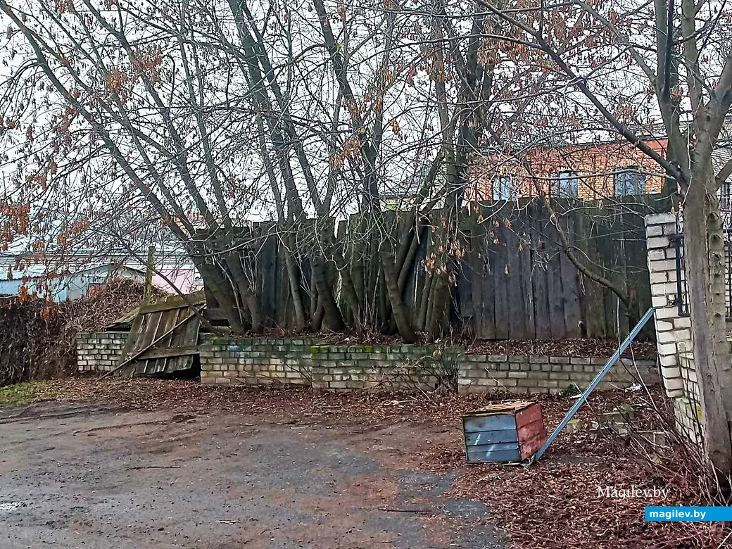 Февраль 2025 года, Могилев. Вдоль обрыва…