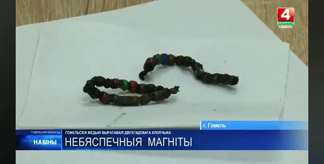 Скриншот видео ТРК «Гомель».