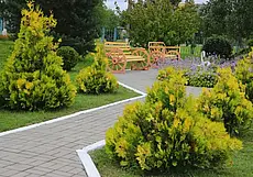 Самый зеленый районный центр Беларуси – Дрибин