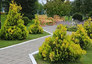 Самый зеленый районный центр Беларуси – Дрибин