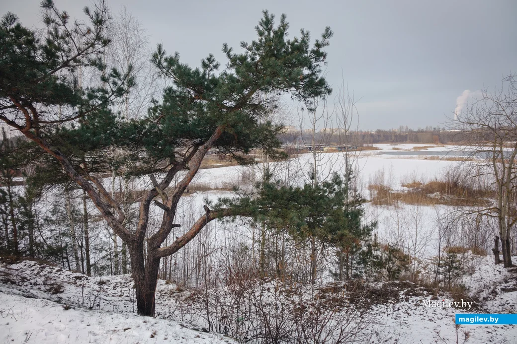 12.02.2025. улица Кобякова, Первомайский район, Бобруйск, Могилёвская область, 213818, Беларусь.