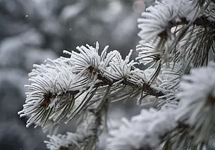 Морозные выходные прогнозируют могилевские синоптики: по области ночью может быть до −18°С