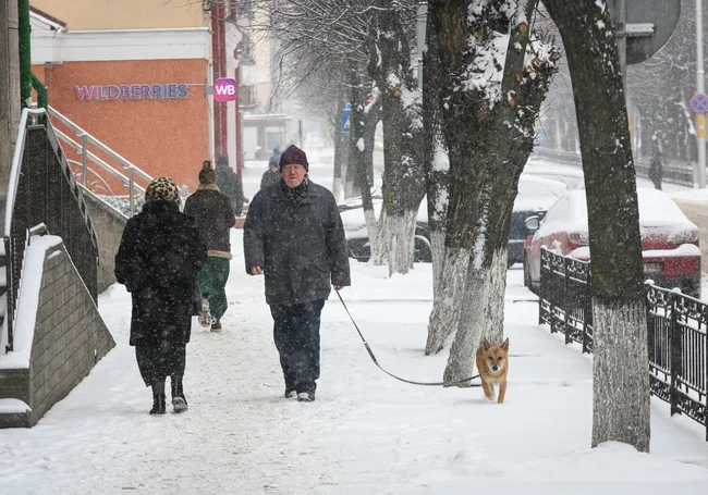 «Было б здоровье справиться с этим миром». Жизнь глазами бобруйчан