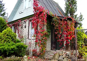 Личный опыт в пример, или Как сделать красивый, но малоуходный сад? Часть 1