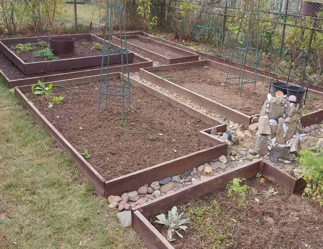 Станция Понизов. Могилевская область. Дача Ларисы Федоровны Суздалевой. Огород.