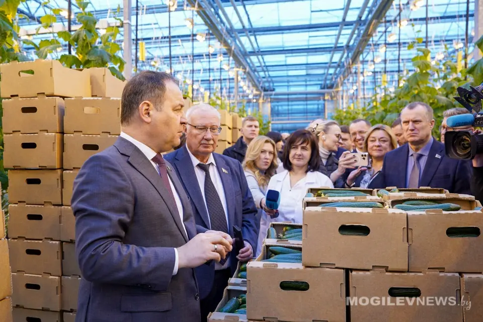 14 февраля 2025 года. Премьер-министр Беларуси посетил тепличный комбинат ОАО «Рассвет» имени К.П. Орловского». Фото: mogilevnews.by.