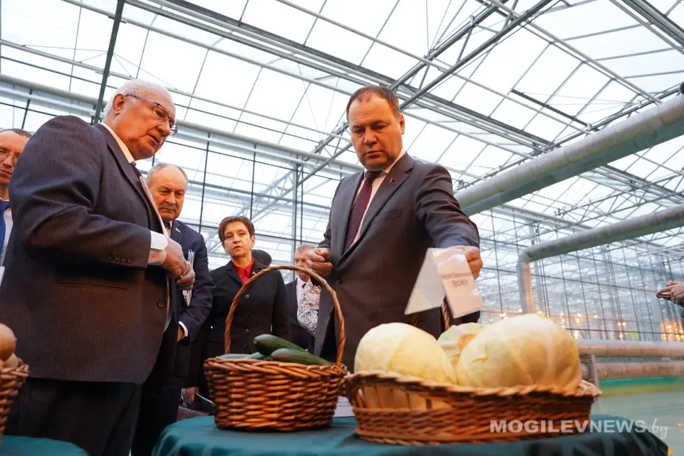 14 февраля 2025 года. Премьер-министр Беларуси посетил тепличный комбинат ОАО «Рассвет» имени К.П. Орловского». Фото: mogilevnews.by.