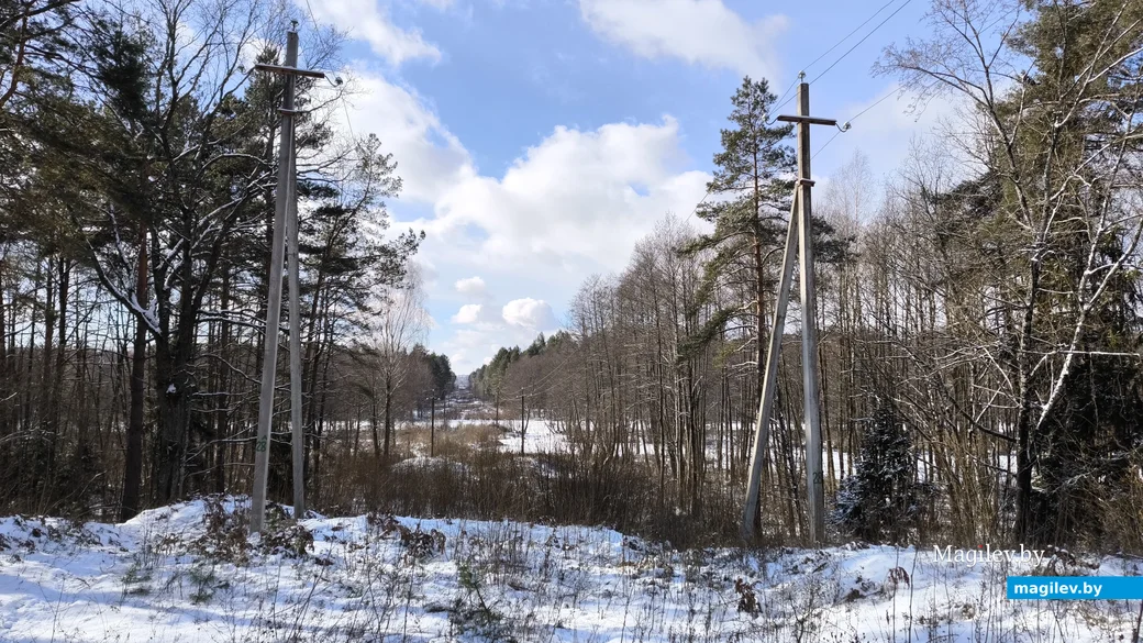 16.02.2025. Пригород Бобруйска. Морозное воскресенье в урочище Белый берег
