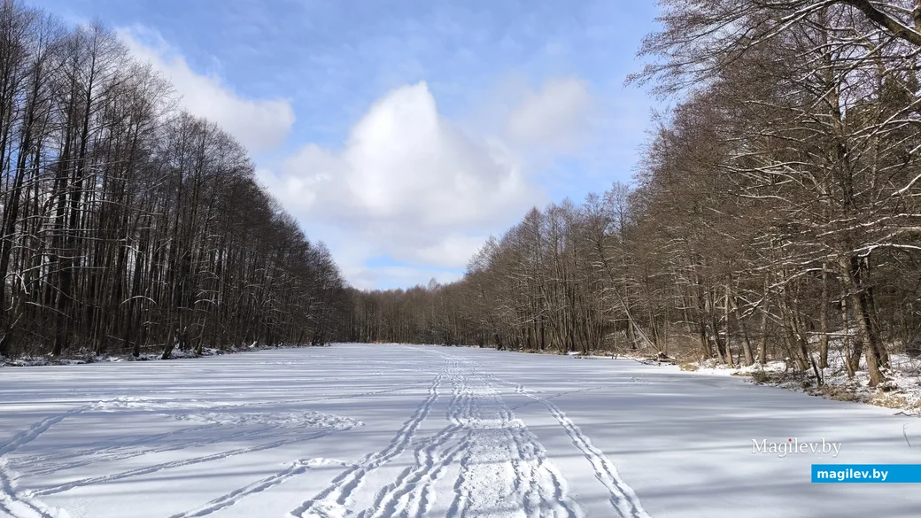 16.02.2025. Пригород Бобруйска. Морозное воскресенье в урочище Белый берег