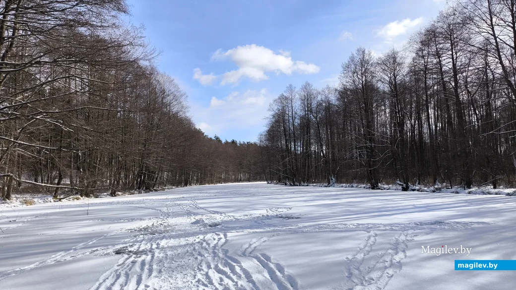 16.02.2025. Пригород Бобруйска. Морозное воскресенье в урочище Белый берег