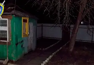 Мужчина убил котенка на глазах у маленькой девочки в Бобруйске