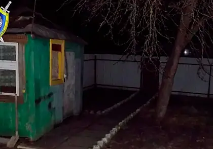 Мужчина убил котенка на глазах у маленькой девочки в Бобруйске