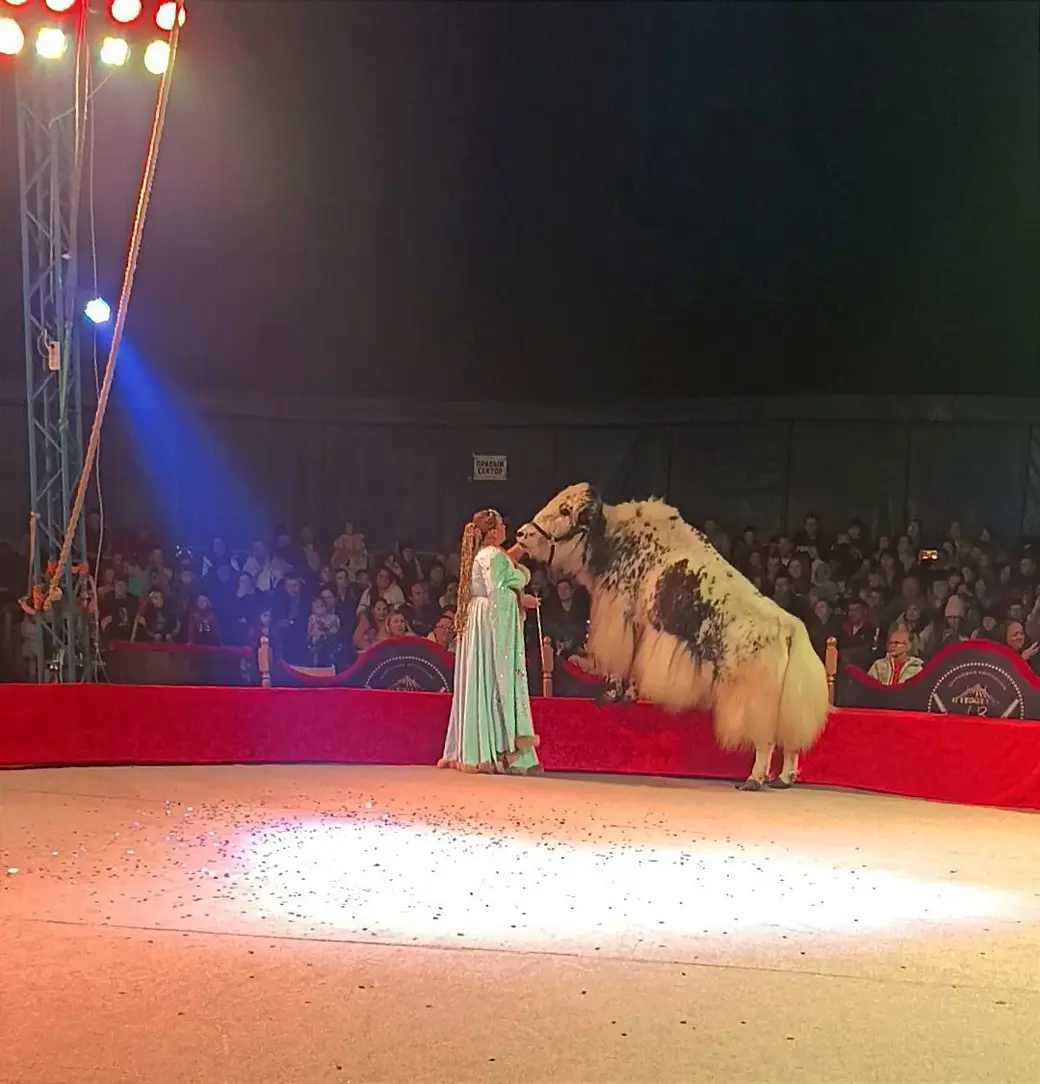 Зрителей ждет захватывающее представление! Фото: цирк.