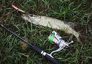 С 1 марта щуку ловить нельзя: рыбаков-нарушителей ждут штрафы