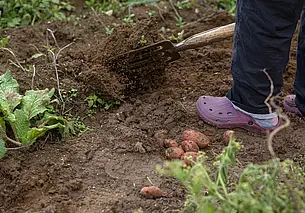 В Минтруда рассказали, кто может устроиться на временные работы