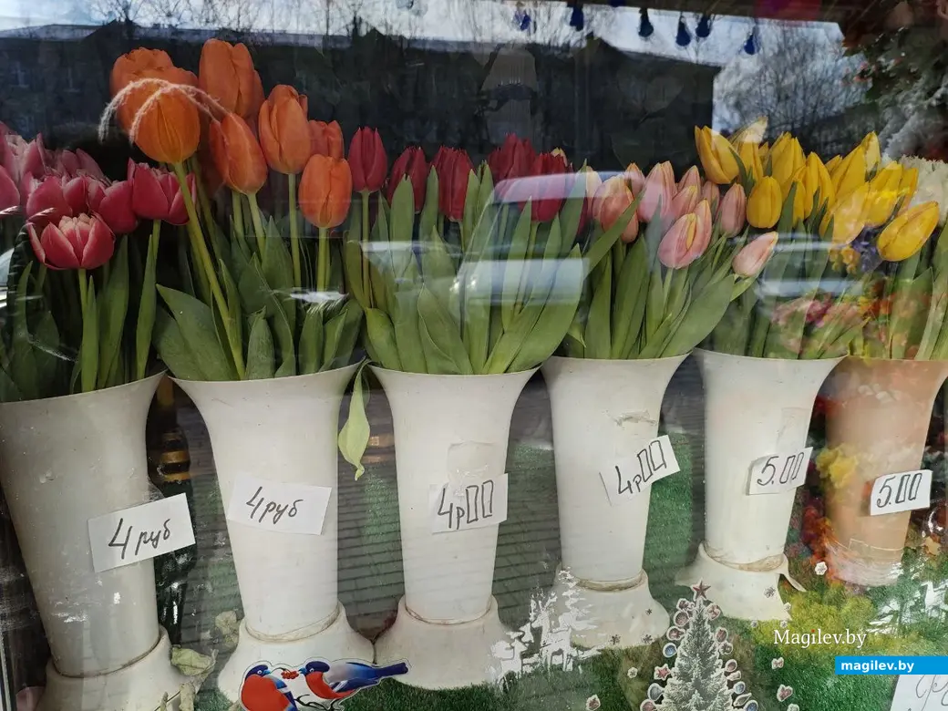 27 февраля 2025 года. Могилев. Минский (Центральный) рынок. Тюльпаны.