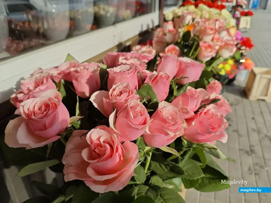 27 февраля 2025 года. Могилев. Минский (Центральный) рынок. Розы.