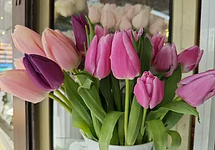 «Закажите заранее, будет дешевле…» Изучили, сколько стоят тюльпаны в Могилеве за неделю до 8 Марта