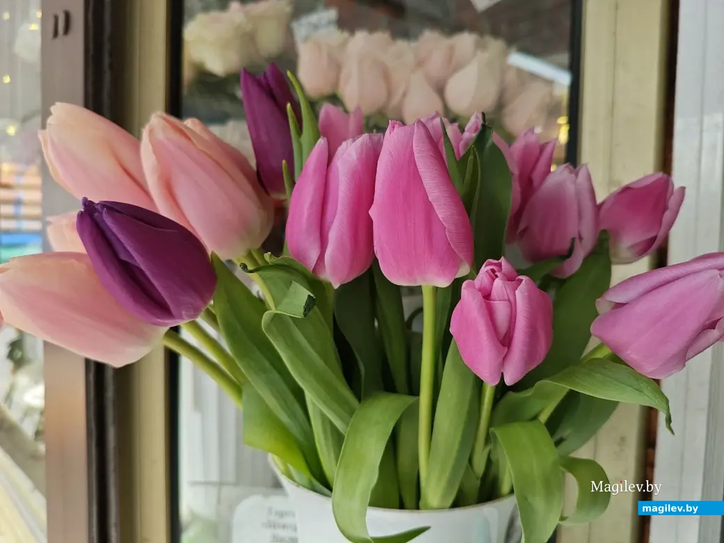 27 февраля 2025 года. Могилев. Минский (Центральный) рынок. Тюльпаны.